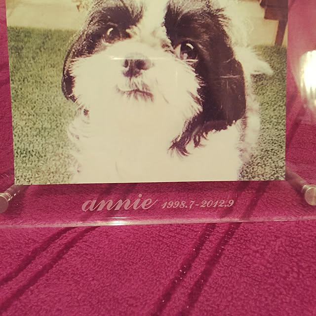 annie555555さんの実例写真