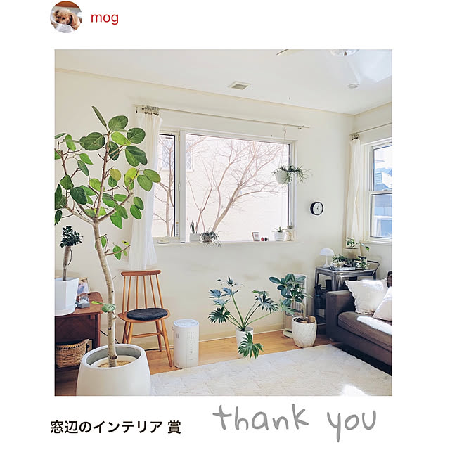mogさんの実例写真