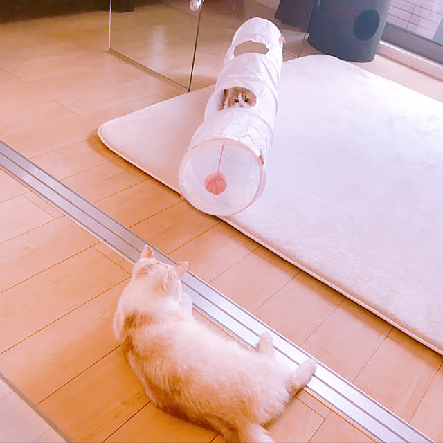H.Tさんの実例写真