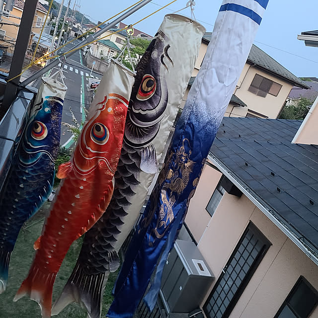 pomさんの実例写真