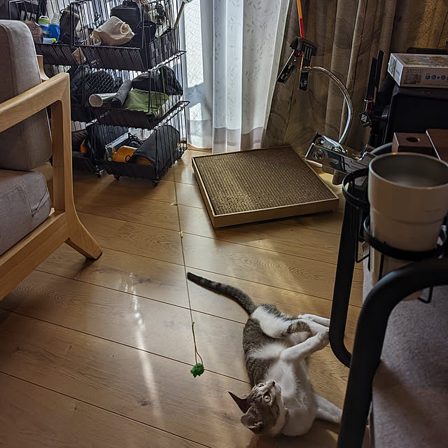 miyabiさんの実例写真