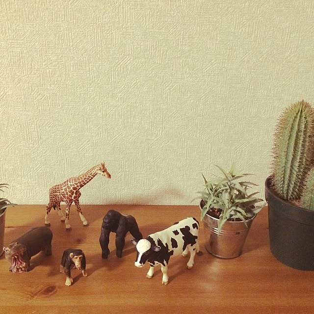 tamachanさんの実例写真