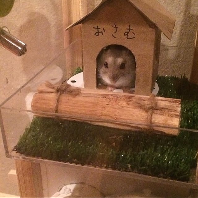 実例写真