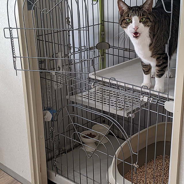 ichi.さんの実例写真