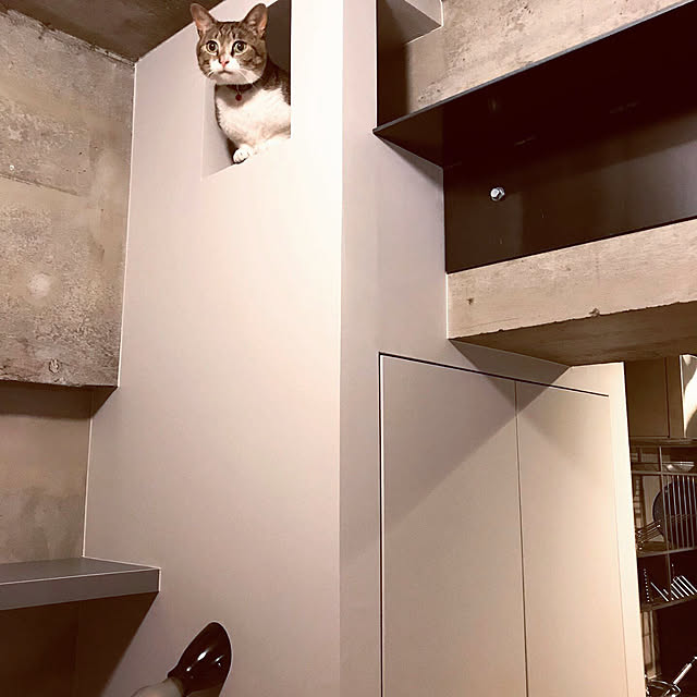 Toshikunさんの実例写真