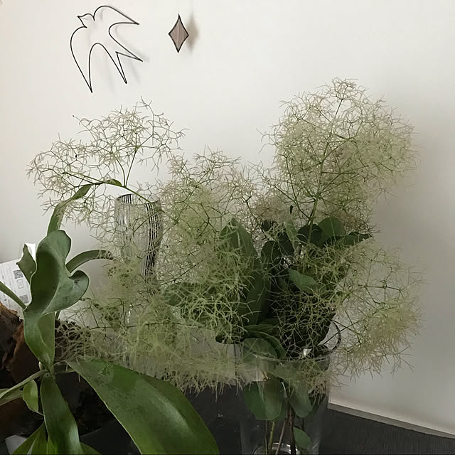 hayasanさんの実例写真