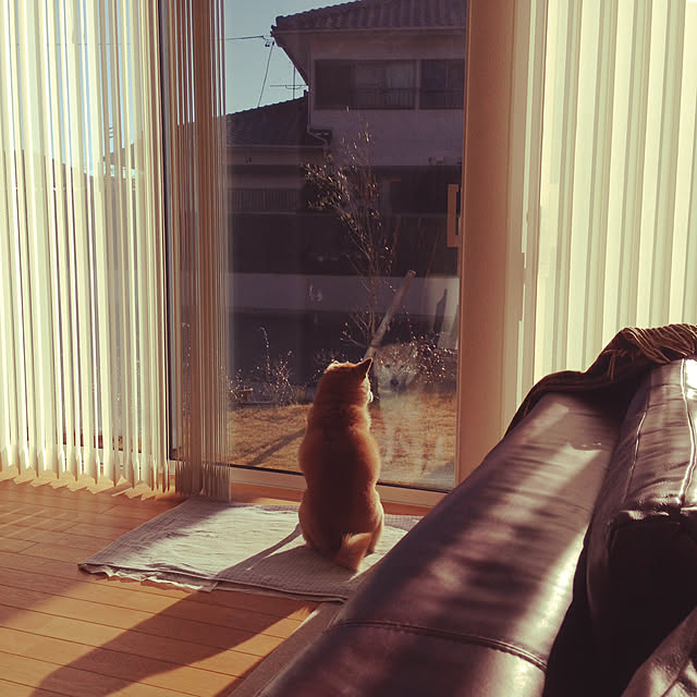 AKEさんの実例写真