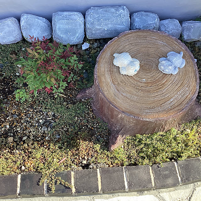 coco chaiさんの実例写真