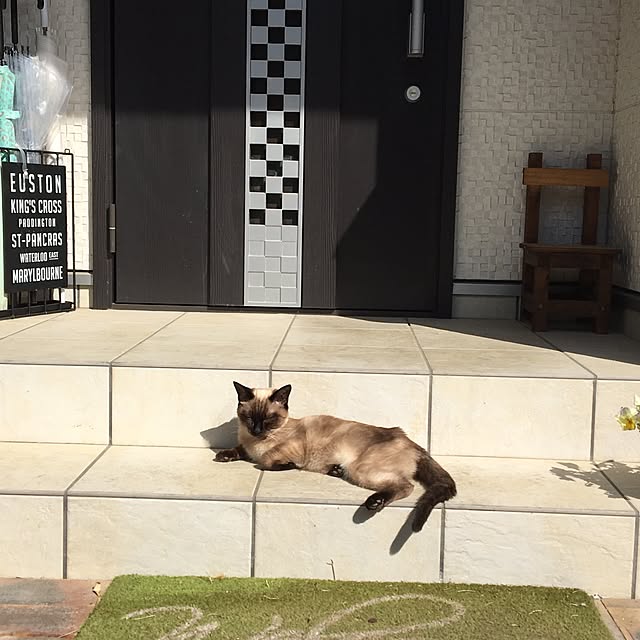 hamuさんの実例写真