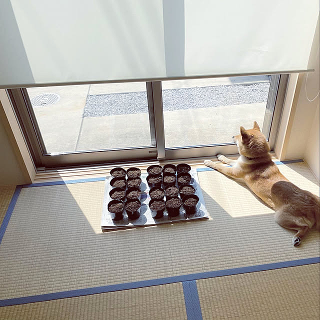 natsumiさんの実例写真