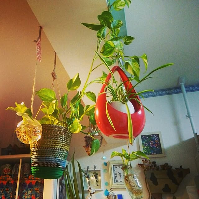 moomin.mamaさんの実例写真