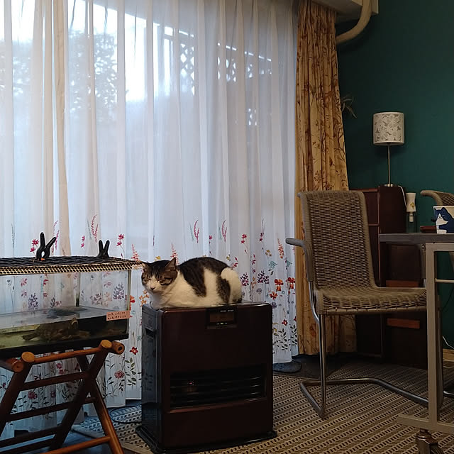 okyosan101さんの実例写真