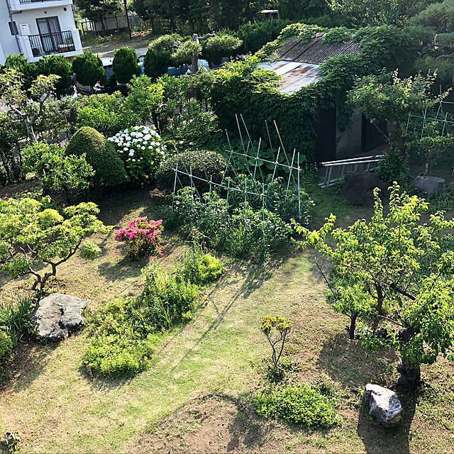 suzyさんの実例写真