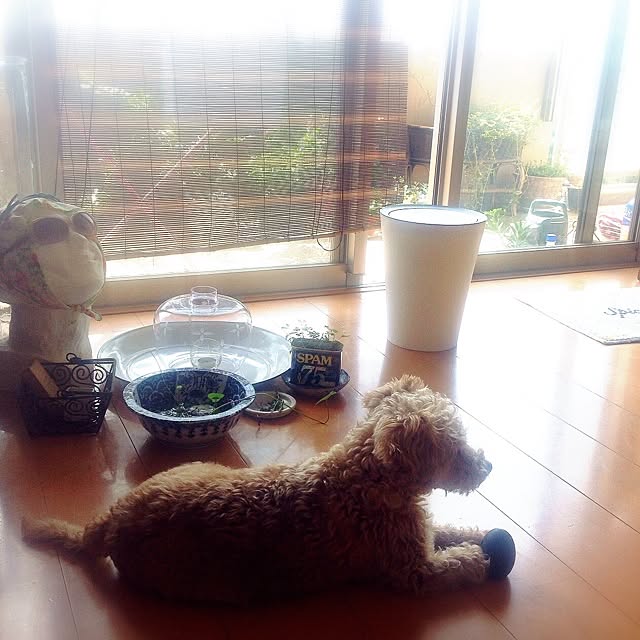 yさんの実例写真