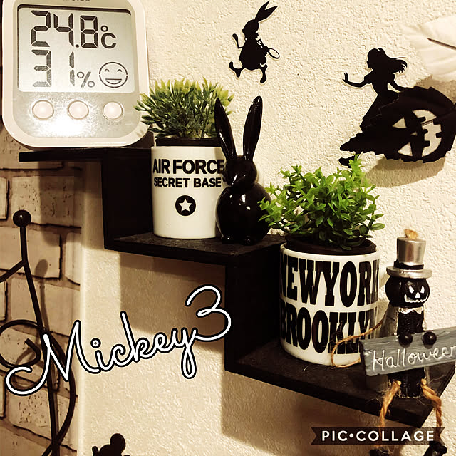 mickey3さんの実例写真