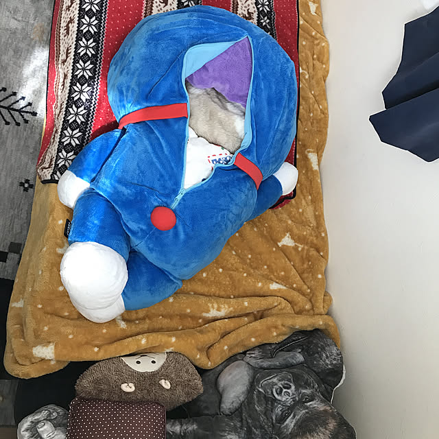 bonapetiさんの実例写真