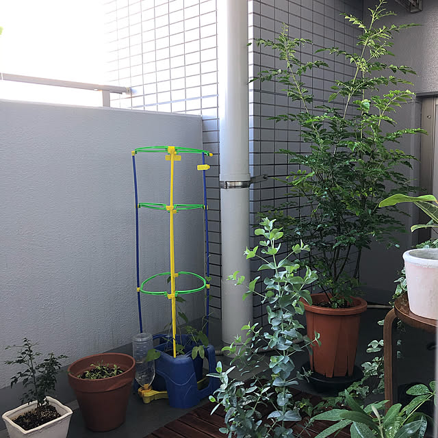 sumisumiさんの実例写真