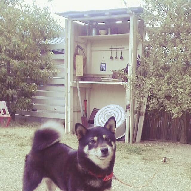 kankenmama12さんの実例写真