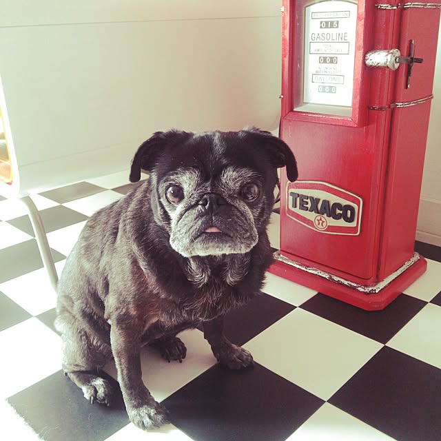 kuupugさんの実例写真