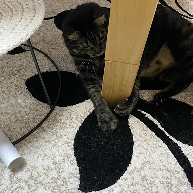 momocchiさんの部屋