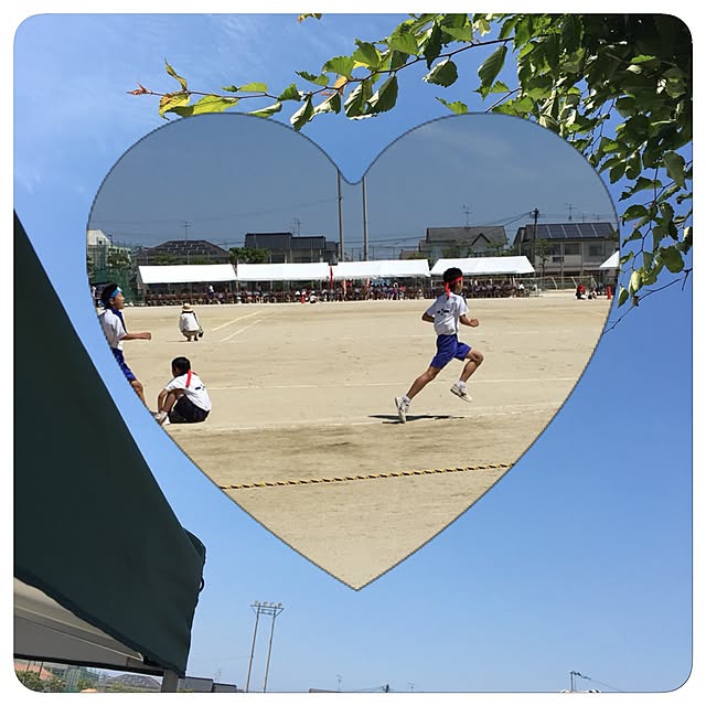 collonさんの実例写真
