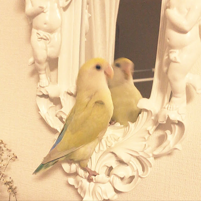 miyuさんの実例写真