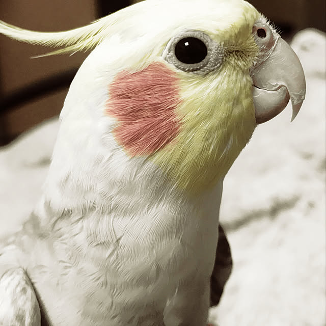 yuu04さんの実例写真