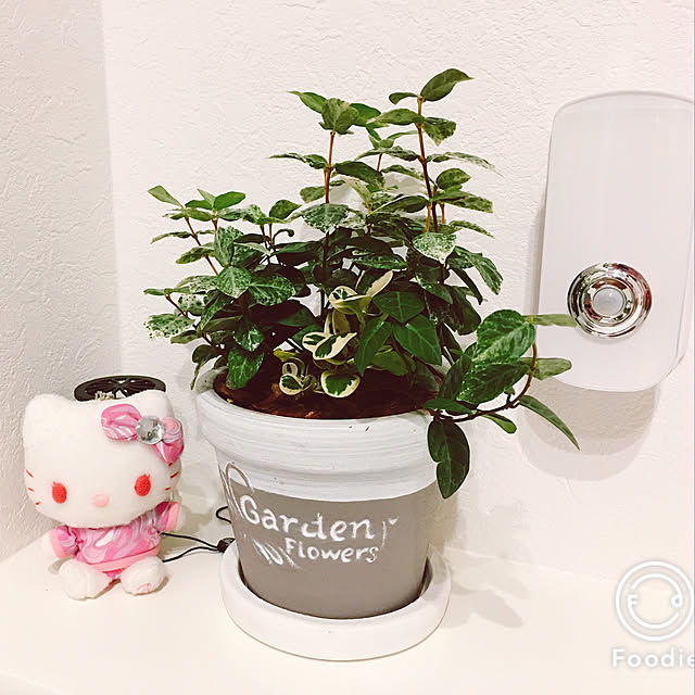 Rupiさんの実例写真
