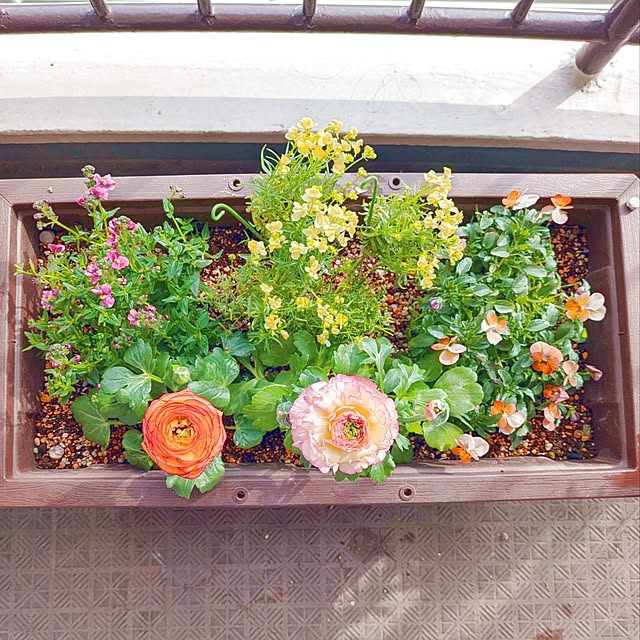 mi-saさんの部屋