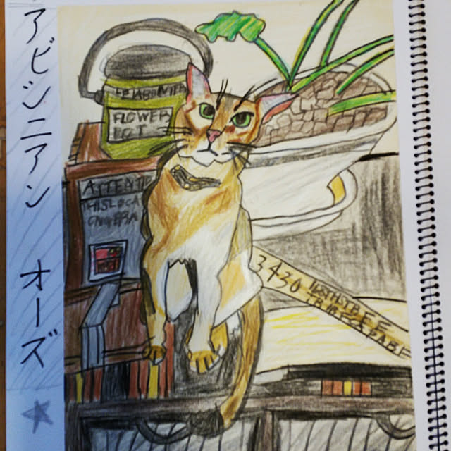 kichiさんの実例写真