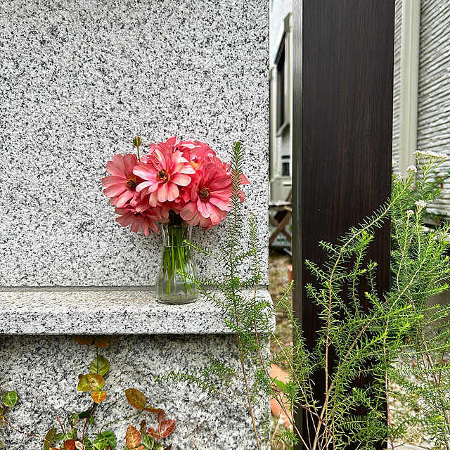 hatsugaさんの部屋