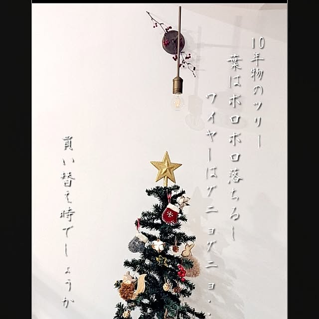 kankanmom_horn_5catsさんの実例写真