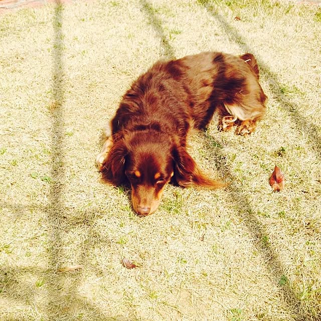 AKIRAさんの実例写真