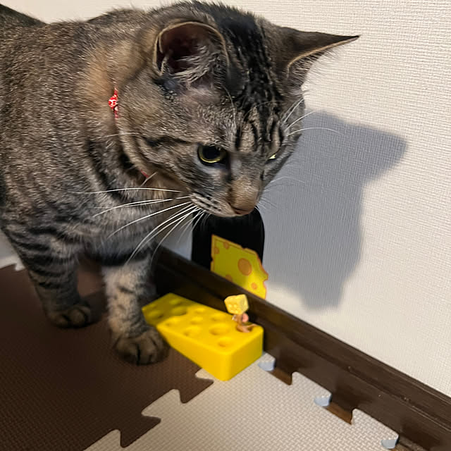 kuzumeganeさんの部屋