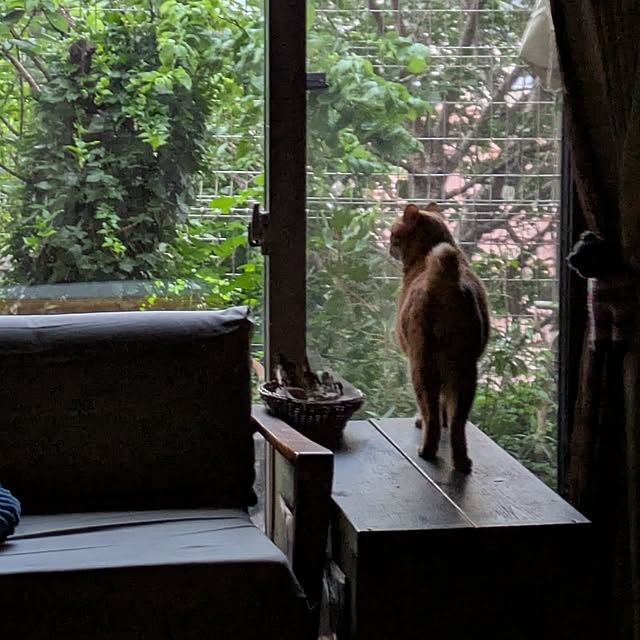 ayuさんの部屋