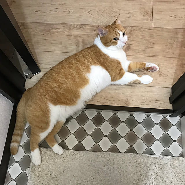73さんの実例写真