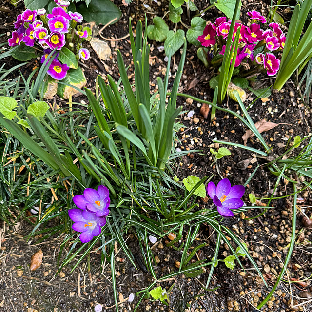 mamizaさんの部屋