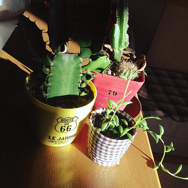 makicoさんの実例写真