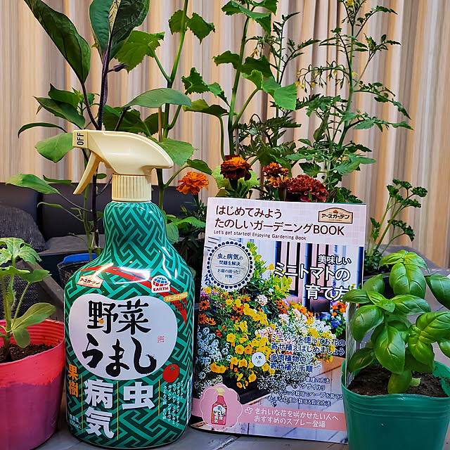 Minaharuさんの実例写真