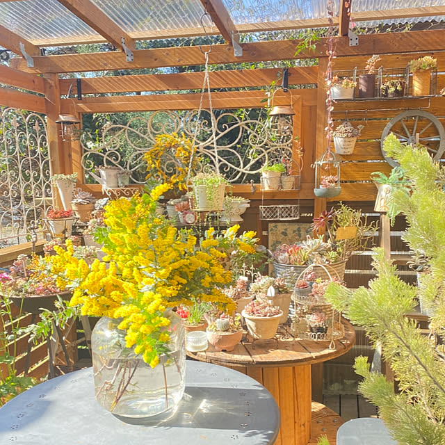 mintteaさんの実例写真