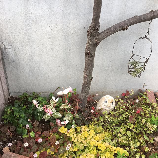 mi.....さんの実例写真