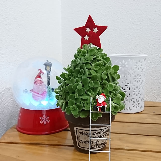 rurucchiさんの実例写真