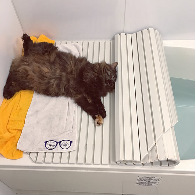 mikomaruさんの実例写真