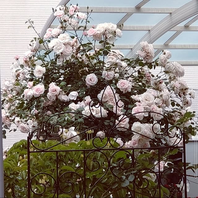 Bienvenueさんの部屋