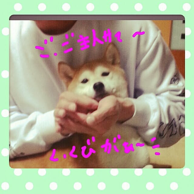 yuriさんの実例写真