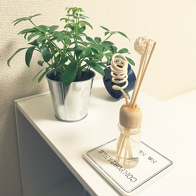 Yaさんの実例写真