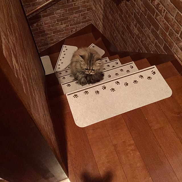 butachanさんの実例写真
