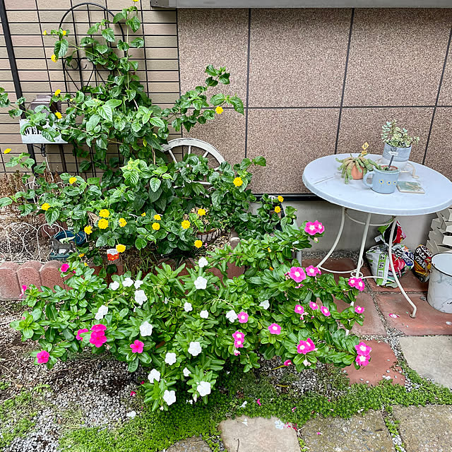 puriyuzuさんの部屋