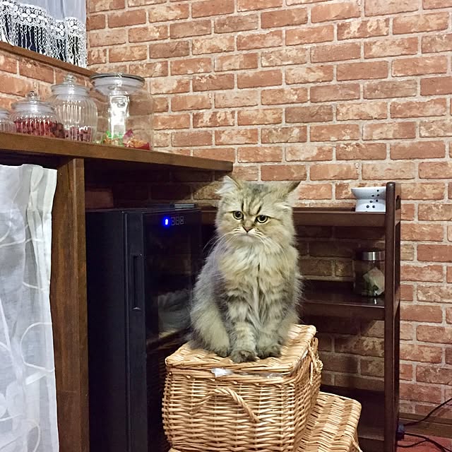 butachanさんの実例写真