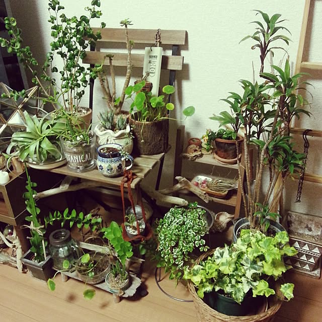 yar.imi.さんの実例写真